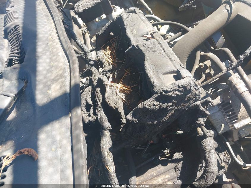 1997 Dodge Ram 1500 Lt VIN: 1B7HF16Y1VS278583 Lot: 43217285