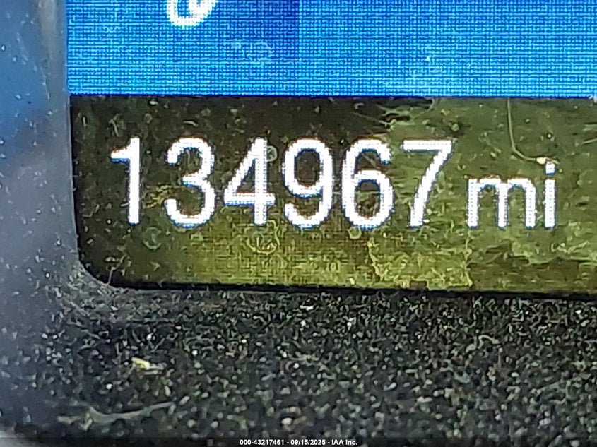 2017 FORD FOCUS SEL - 1FADP3H24HL347609