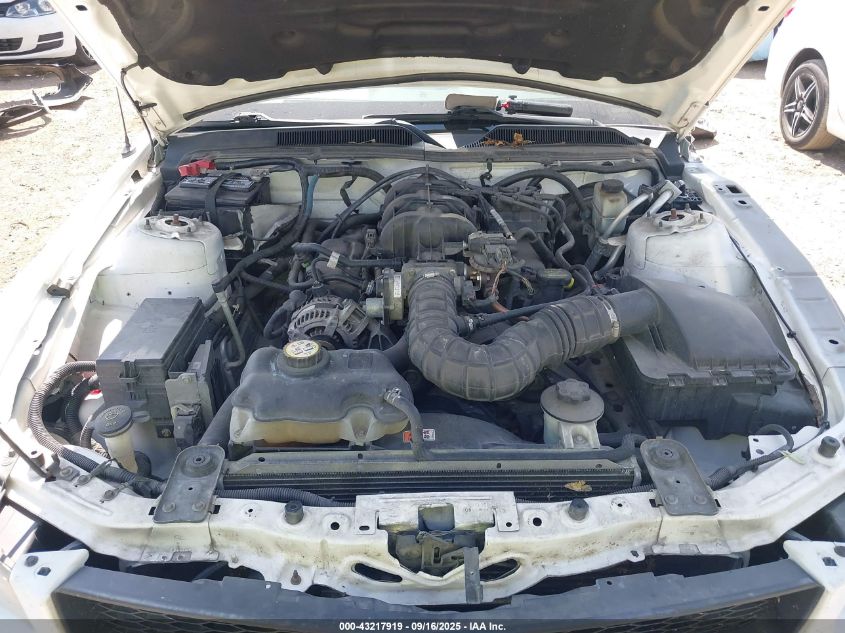 2009 Ford Mustang V6/V6 Premium VIN: 1ZVHT80N795138829 Lot: 43217919