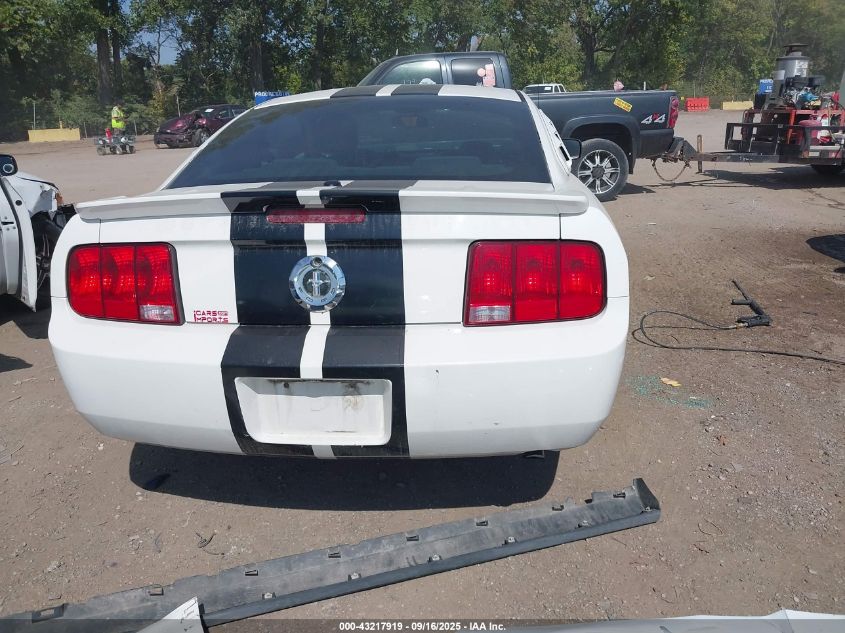 2009 Ford Mustang V6/V6 Premium VIN: 1ZVHT80N795138829 Lot: 43217919