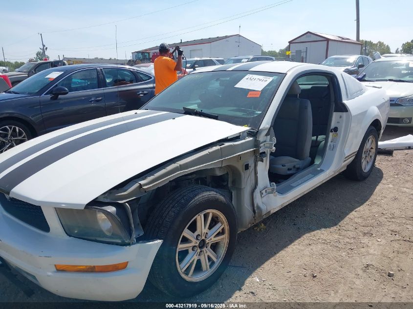 2009 Ford Mustang V6/V6 Premium VIN: 1ZVHT80N795138829 Lot: 43217919