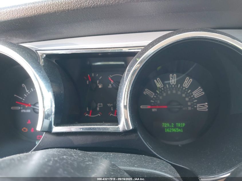 2009 Ford Mustang V6/V6 Premium VIN: 1ZVHT80N795138829 Lot: 43217919