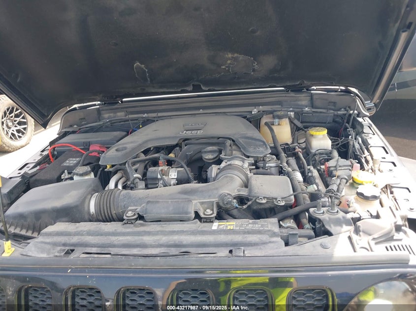 2020 JEEP WRANGLER UNLIMITED SAHARA ALTITUDE 4X4 - 1C4HJXEG9LW174374