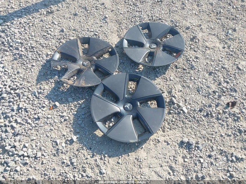 2023 Tesla Model 3 Long Range Dual Motor All-Wheel Drive VIN: 5YJ3E1EB4PF602765 Lot: 43218425