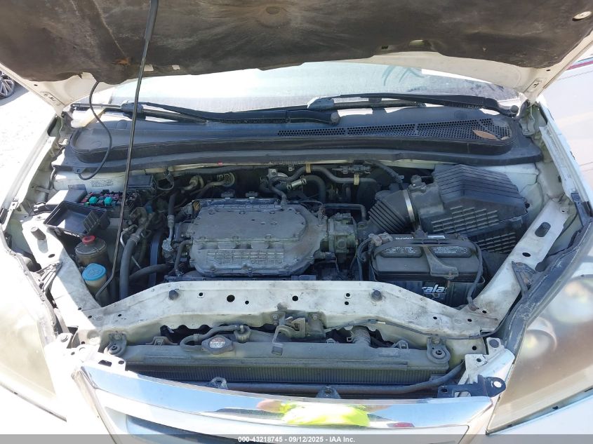 2007 Honda Odyssey Ex-L VIN: 5FNRL386X7B401138 Lot: 43218745