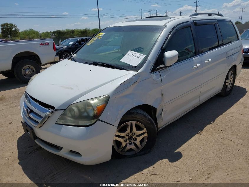 2007 Honda Odyssey Ex-L VIN: 5FNRL386X7B401138 Lot: 43218745