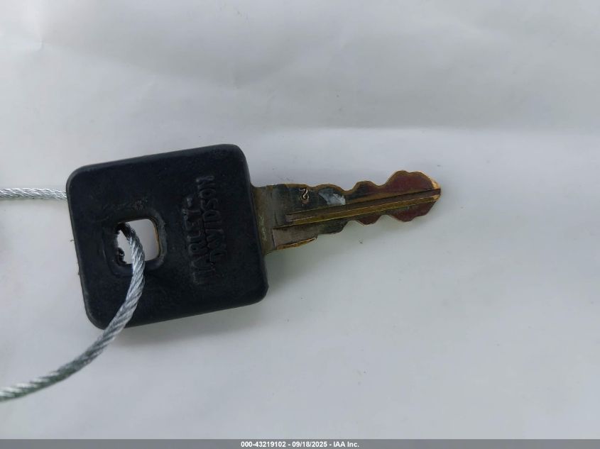 2010 Harley-Davidson Xl883 N VIN: 1HD4LE234AC415060 Lot: 43219102