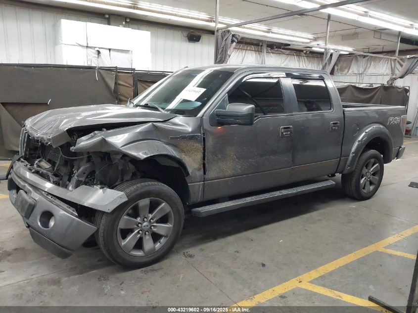 2012 Ford F-150 Fx2 VIN: 1FTFW1CTXCKE29658 Lot: 43219602