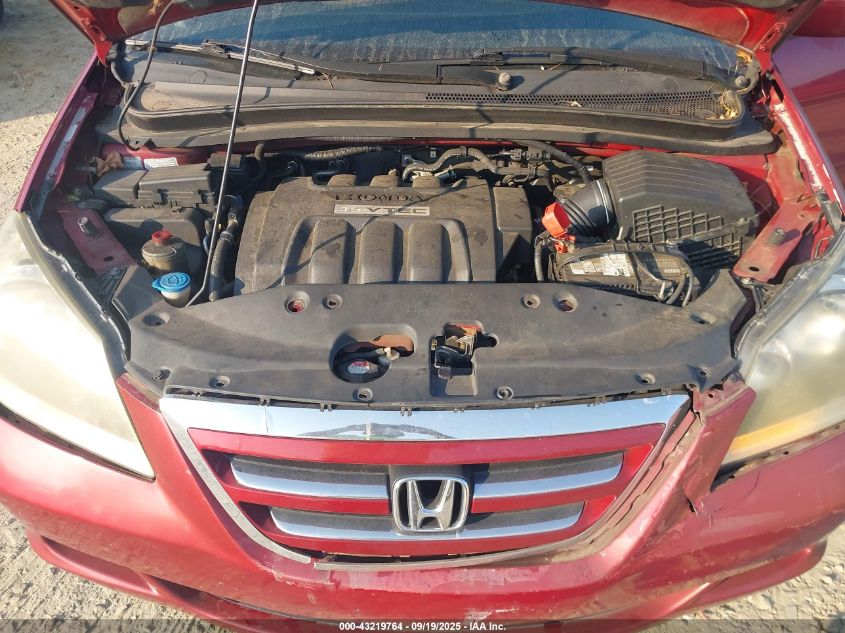 2005 Honda Odyssey Ex VIN: 5FNRL38495B008629 Lot: 43219764