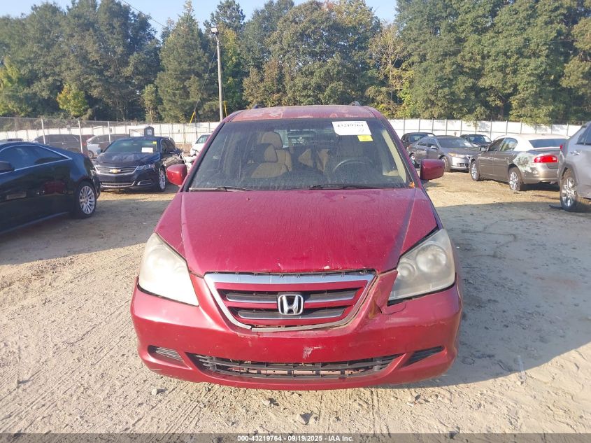 2005 Honda Odyssey Ex VIN: 5FNRL38495B008629 Lot: 43219764