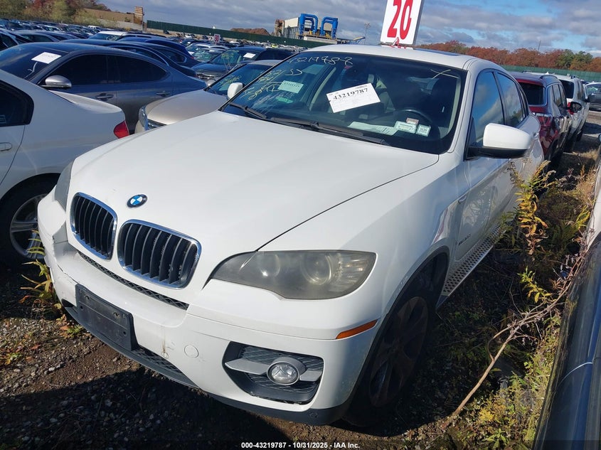 2009 BMW X6 xDrive35I VIN: 5UXFG43509L222407 Lot: 43219787