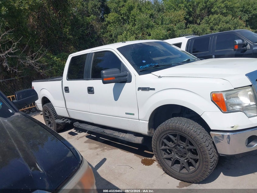 2014 FORD F-150 XLT 1FTFW1CT2EKF35153