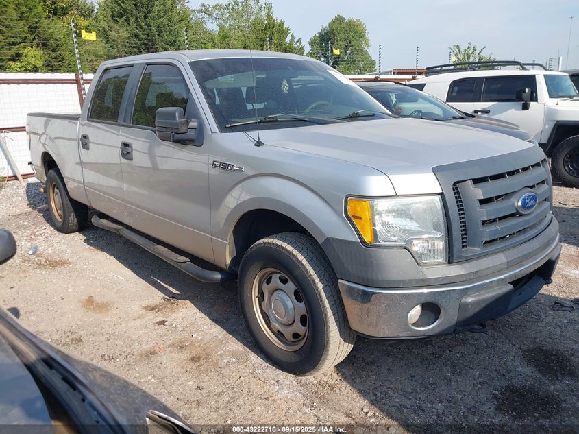 FORD F-150 XL/XLT