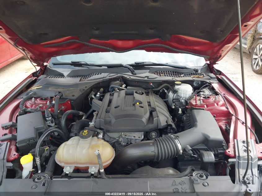 2019 Ford Mustang Ecoboost VIN: 1FA6P8TH6K5132407 Lot: 43223419