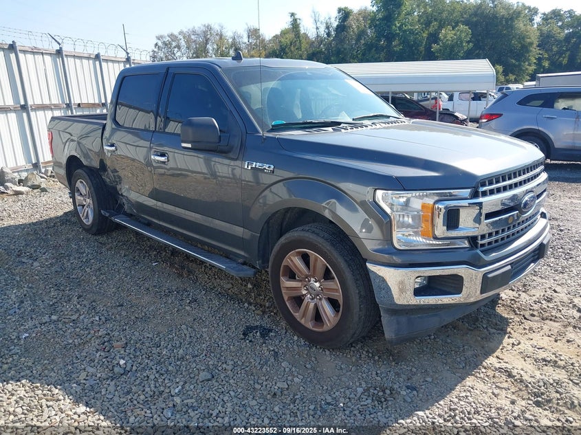 FORD F-150 XLT