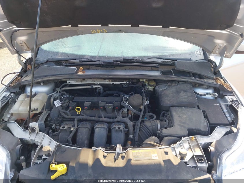 2013 FORD FOCUS SE - 1FADP3K26DL123812