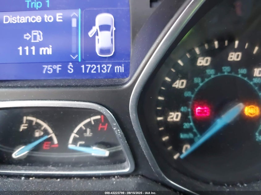 2013 FORD FOCUS SE - 1FADP3K26DL123812