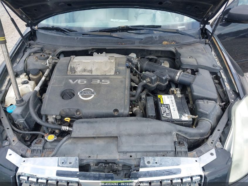 2004 Nissan Maxima 3.5 Se VIN: 1N4BA41E64C840074 Lot: 43224262