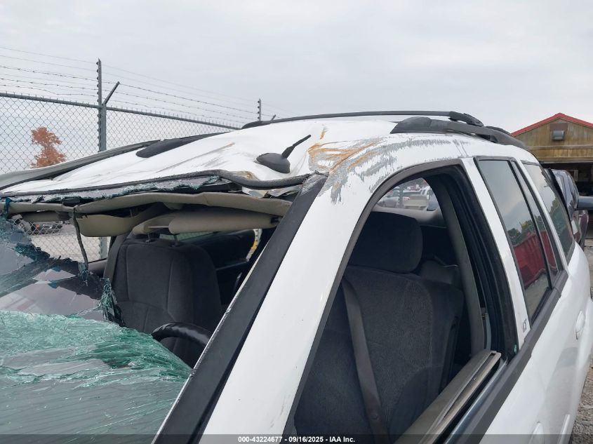 2004 Chevrolet Trailblazer Ls/Lt VIN: 1GNDT13SX42195165 Lot: 43224677