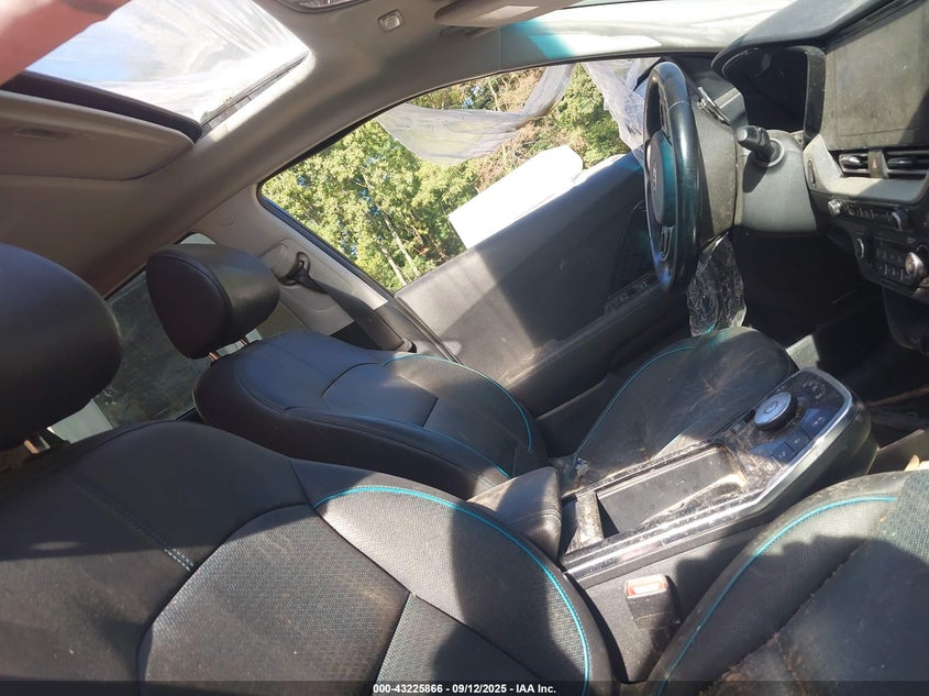 2020 KIA NIRO EV EX PREMIUM - KNDCE3LG0L5035170