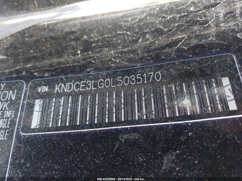 2020 KIA NIRO EV EX PREMIUM - KNDCE3LG0L5035170