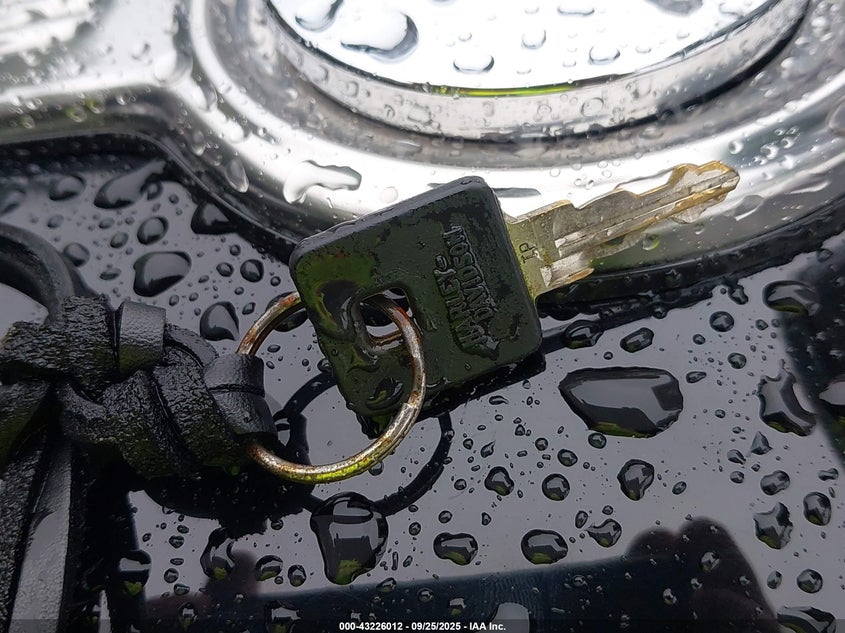 2005 Harley-Davidson Xl1200 C VIN: 1HD1CGP165K401890 Lot: 43226012