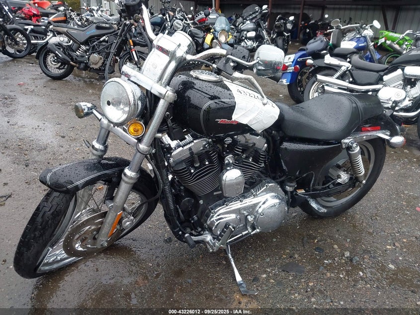 1HD1CGP165K401890 2005 HARLEY-DAVIDSON NIGHTSTER photo no. 2