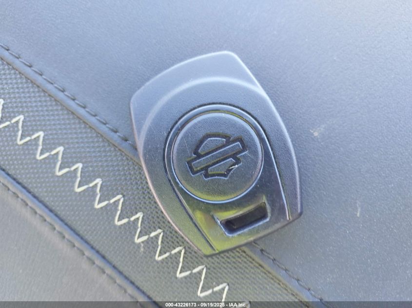 2024 Harley-Davidson Fltrx VIN: 1HD1KH719RB632717 Lot: 43226173