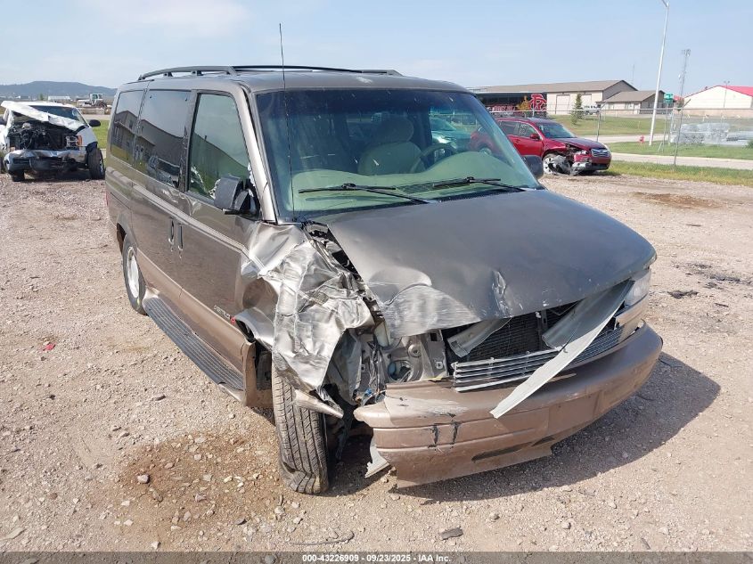 2000 Chevrolet Astro VIN: 1GNEL19W2YB164206 Lot: 43226909