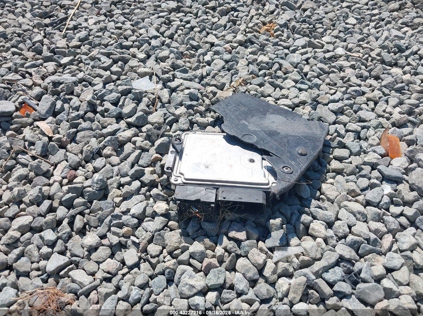 2013 FORD FOCUS SE - 1FADP3F28DL247249