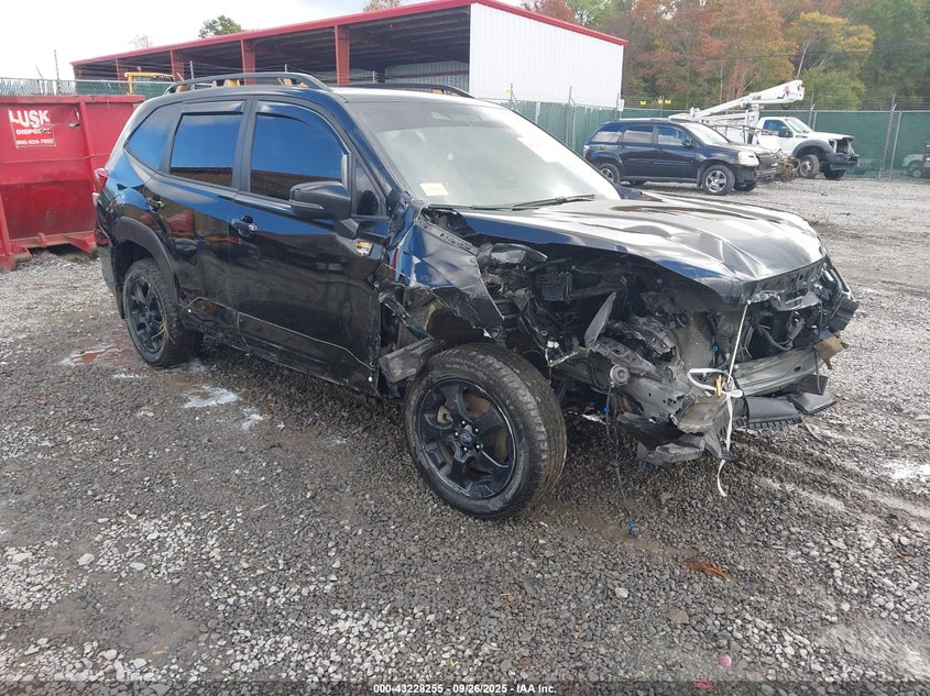 SUBARU FORESTER WILDERNESS