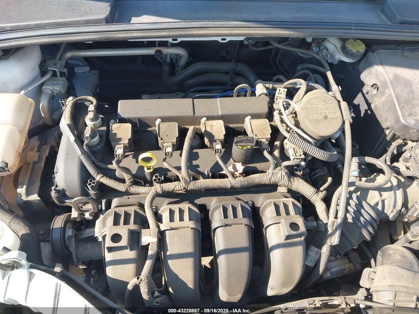 2016 FORD FOCUS SE - 1FADP3K2XGL219401