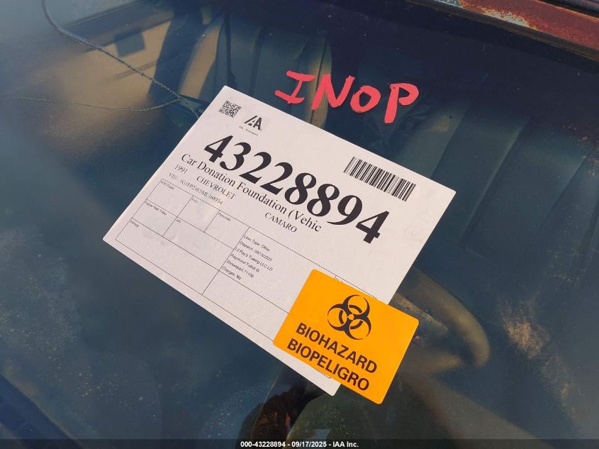 1991 Chevrolet Camaro Rs VIN: 1G1FP23E5ML168934 Lot: 43228894