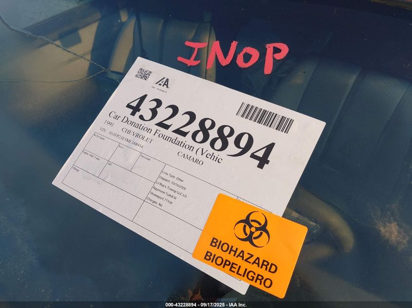 1991 Chevrolet Camaro Rs VIN: 1G1FP23E5ML168934 Lot: 43228894