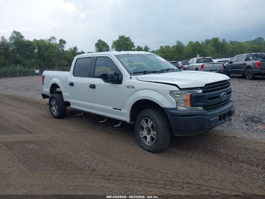 FORD F-150 XL