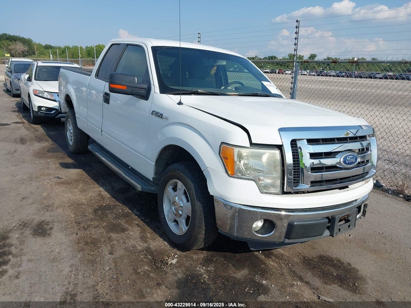 FORD F-150 XLT