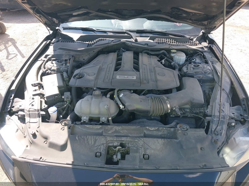 2023 Ford Mustang Gt Premium Fastback VIN: 1FA6P8CF3P5303958 Lot: 43230140