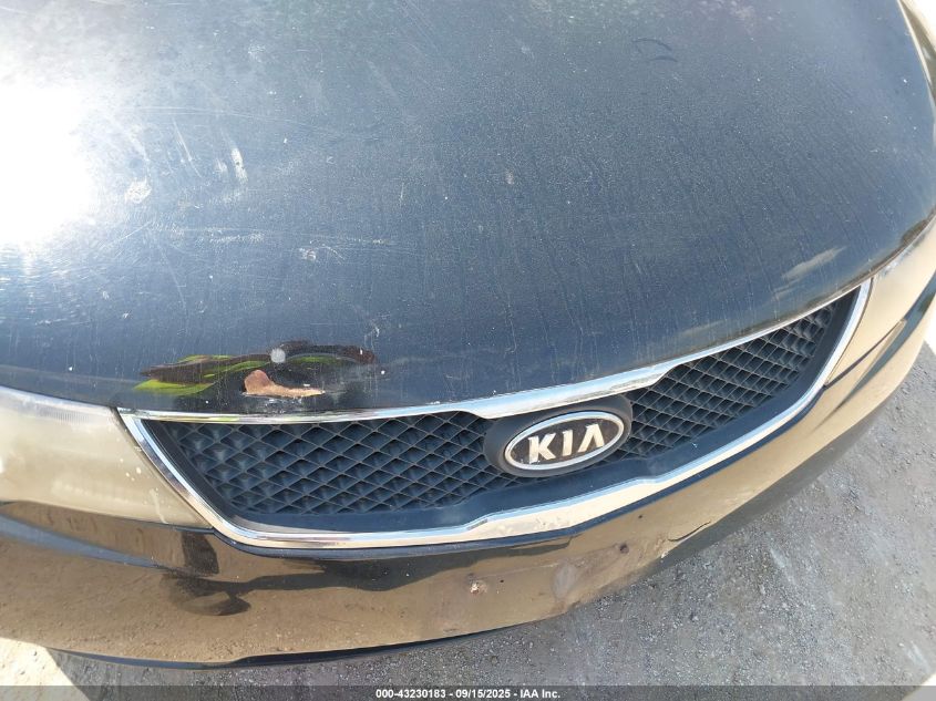 2010 Kia Forte Ex VIN: KNAFU4A27A5253680 Lot: 43230183