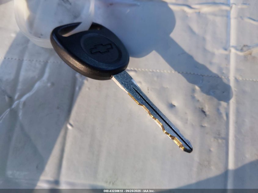 2005 Chevrolet Silverado 1500 Ls VIN: 2GCEC13T151200311 Lot: 43230618