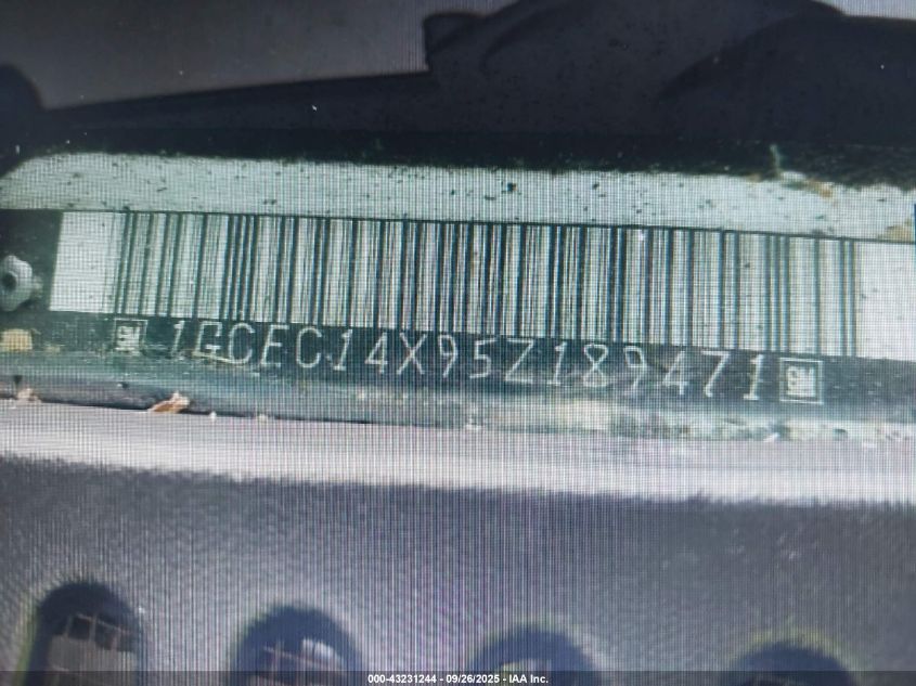 2005 Chevrolet Silverado 1500 Work Truck VIN: 1GCEC14X95Z189471 Lot: 43231244