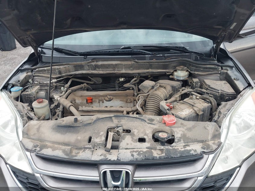 2010 Honda Cr-V Ex-L VIN: 5J6RE4H75AL073733 Lot: 43231445