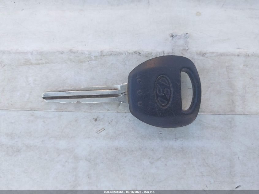 2007 Hyundai Entourage Gls/Limited/Se VIN: KNDMC233776011286 Lot: 43231565