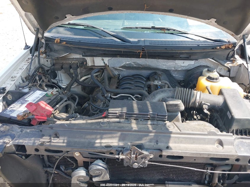 2013 FORD F-150 STX - 1FTFX1CF9DFD31545