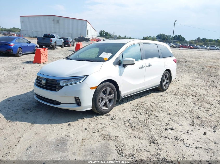 2024 HONDA ODYSSEY EX 5FNRL6H5XRB049528