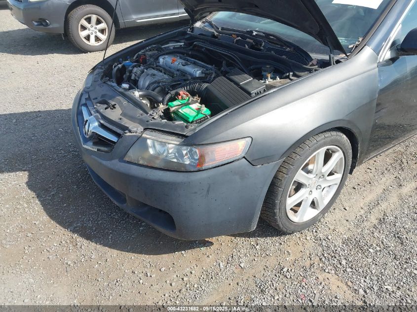 2005 Acura Tsx VIN: JH4CL96805C003037 Lot: 43231682