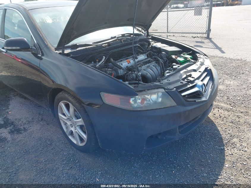 2005 Acura Tsx VIN: JH4CL96805C003037 Lot: 43231682
