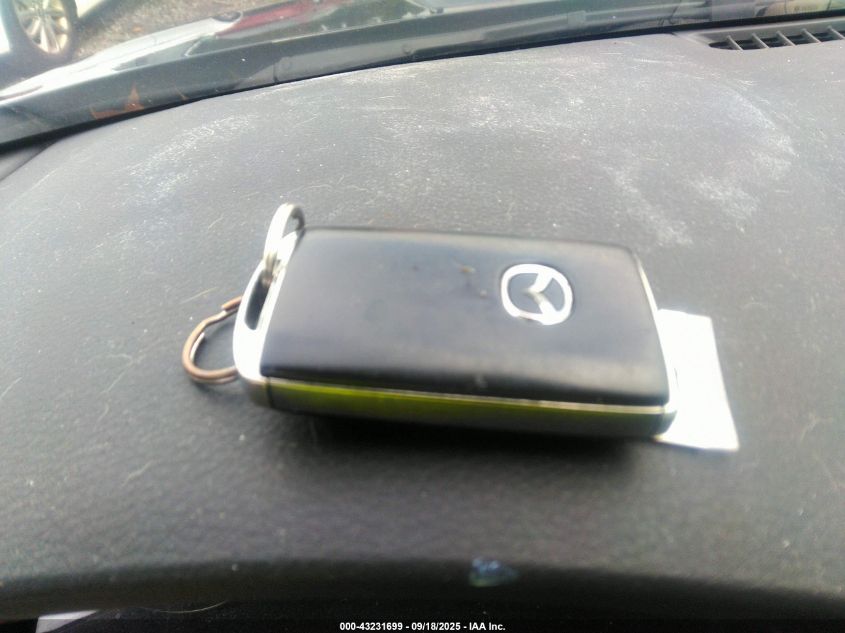 2019 Mazda Mazda3 VIN: JM1BPBJM2K1128853 Lot: 43231699