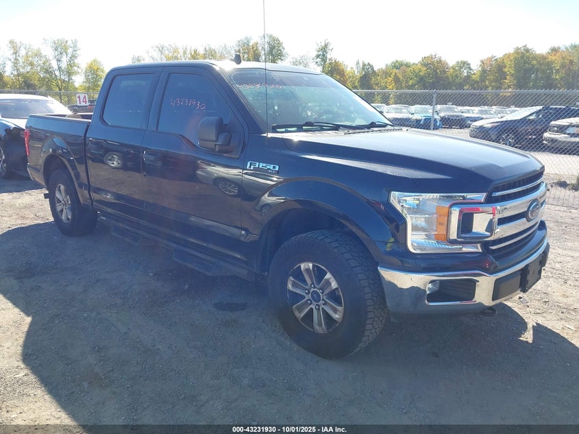 2019 FORD F-150 XLT - 1FTEW1EB9KFB83225