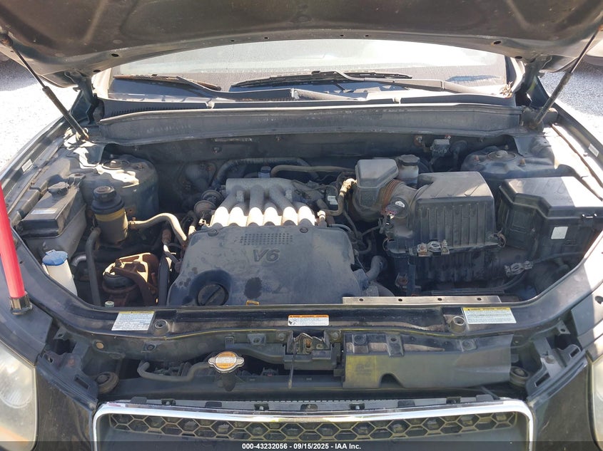 2009 Hyundai Santa Fe Gls VIN: 5NMSG13D29H317767 Lot: 43232056