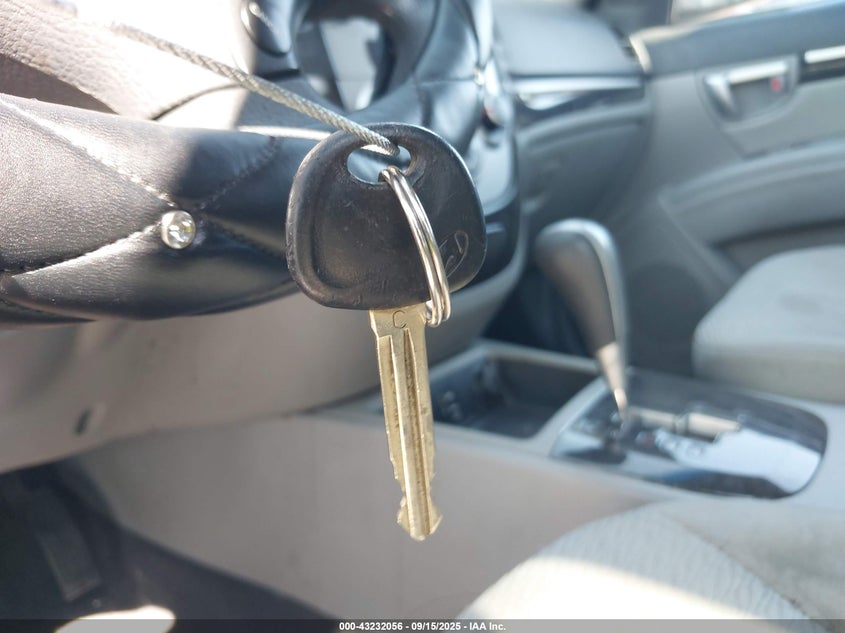 2009 Hyundai Santa Fe Gls VIN: 5NMSG13D29H317767 Lot: 43232056